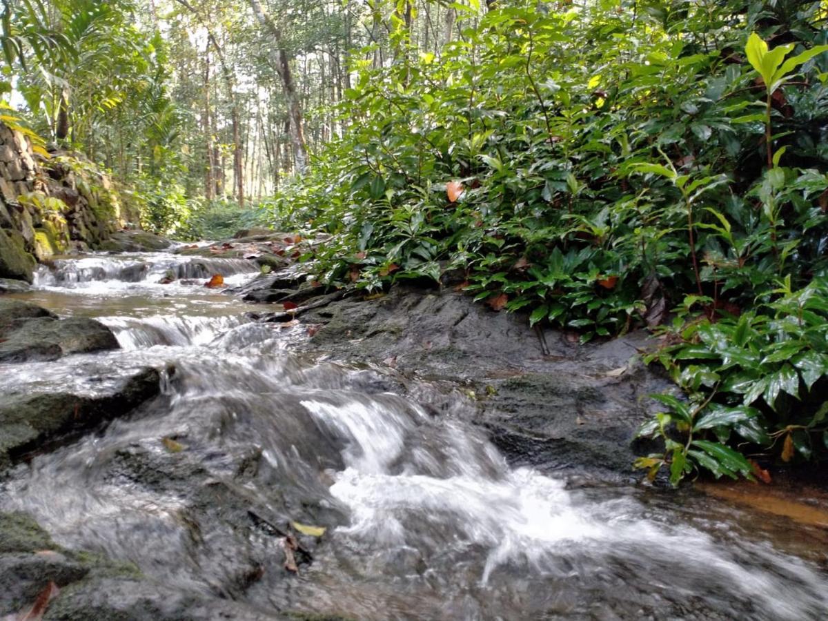 Swasthi Serviced Villa Kanjirapalli المظهر الخارجي الصورة