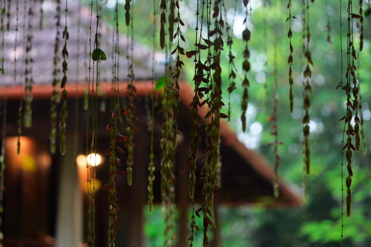 Swasthi Serviced Villa Kanjirapalli المظهر الخارجي الصورة